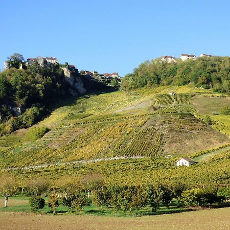 Cote Riviere Villa Nevy-Sur-Seille Exteriör bild